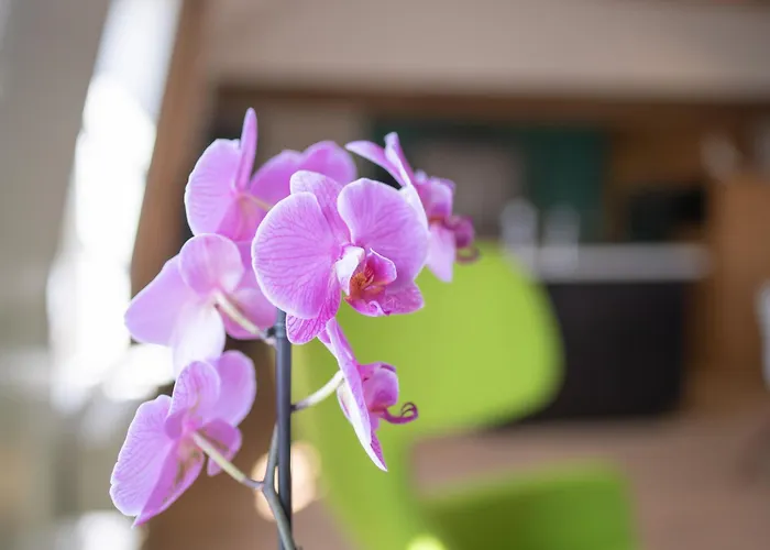 A Coté De La Place Du Pilori Apartamento *